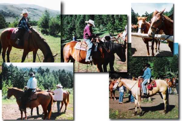 City Folks meet up with the Country Critters